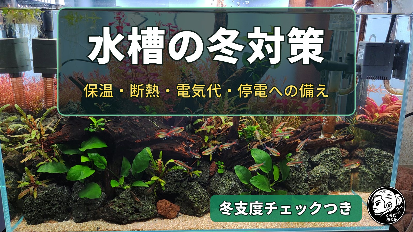 水槽の冬対策｜保温・断熱・電気代・停電への備え