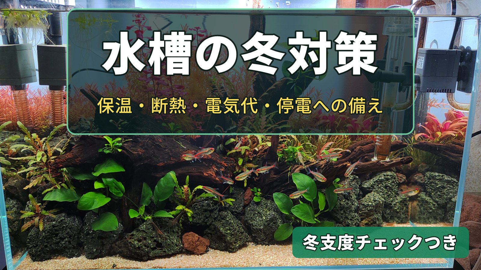黒田さんの60cm水草水槽に「水槽の冬対策」の文字を重ねたアイキャッチ
