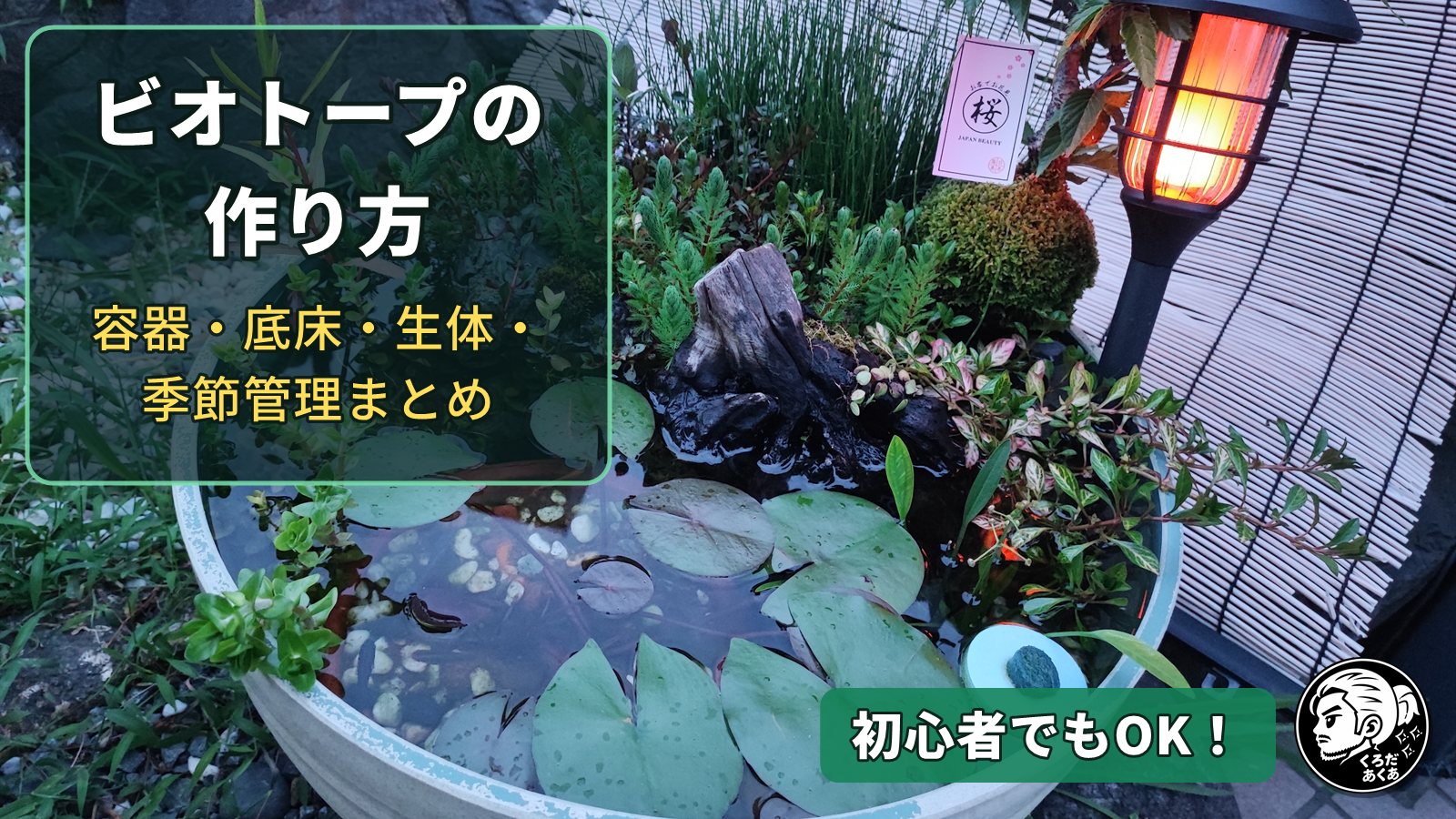 ビオトープの作り方｜容器・底床・生体・季節管理まとめ