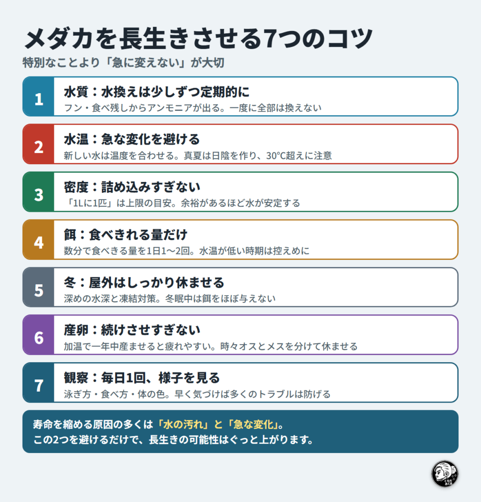 メダカを長生きさせる7つのコツのチェックリスト