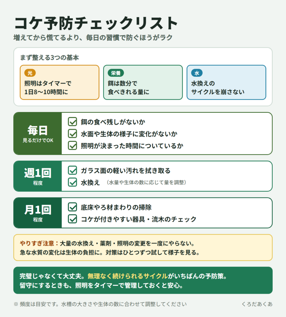 コケ予防チェックリスト(照明・餌・水換えの3つの基本と、毎日・週1回・月1回の予防習慣)