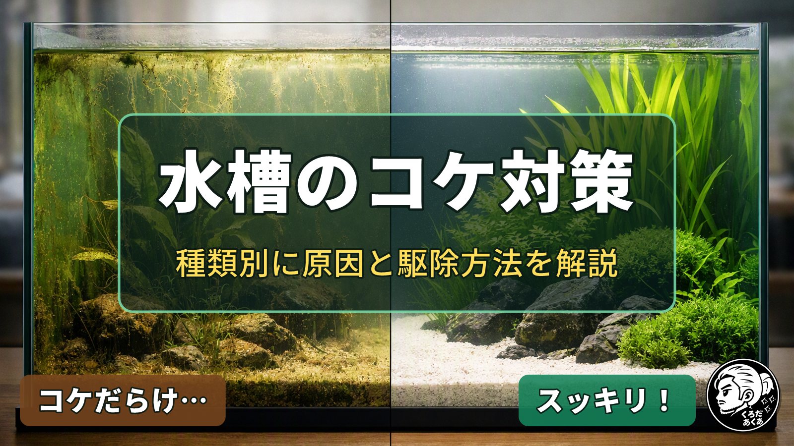 水槽のコケ対策　コケだらけの水槽ときれいな水草水槽の比較イメージ
