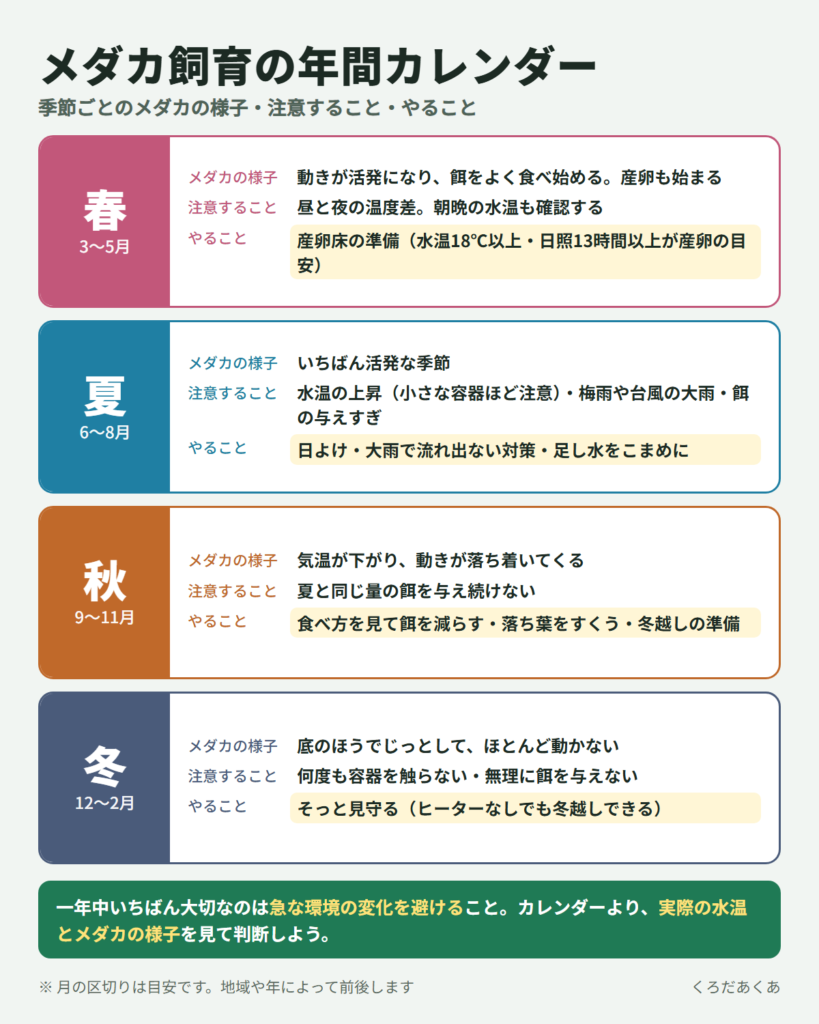 メダカ飼育の年間カレンダー（春夏秋冬のメダカの様子・注意すること・やること）