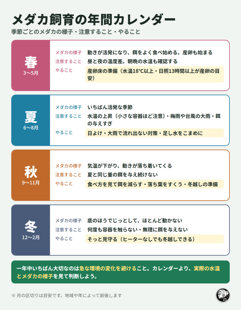 メダカ飼育の年間カレンダー（春夏秋冬のメダカの様子・注意すること・やること）