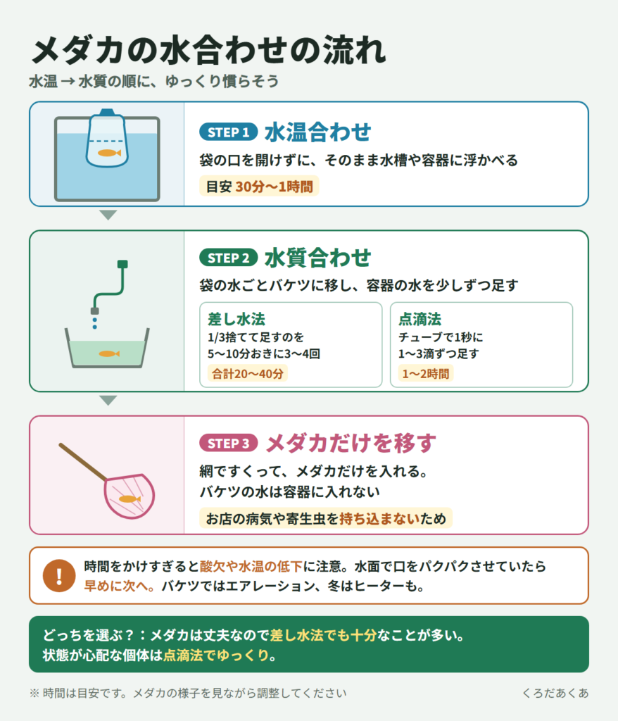 メダカの水合わせの流れ（STEP1 袋ごと浮かべて水温合わせ30分〜1時間、STEP2 バケツで差し水法か点滴法で水質合わせ、STEP3 網でメダカだけを移す）