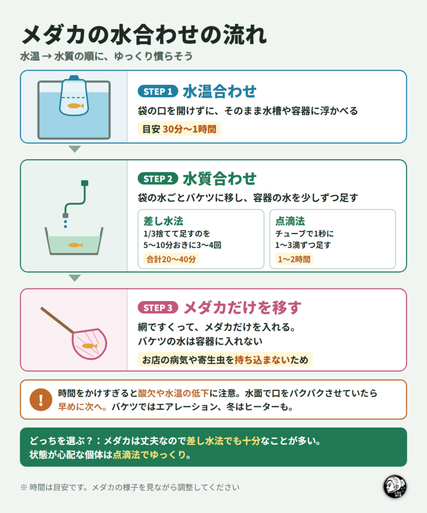 メダカの水合わせの流れ（STEP1 袋ごと浮かべて水温合わせ30分〜1時間、STEP2 バケツで差し水法か点滴法で水質合わせ、STEP3 網でメダカだけを移す）