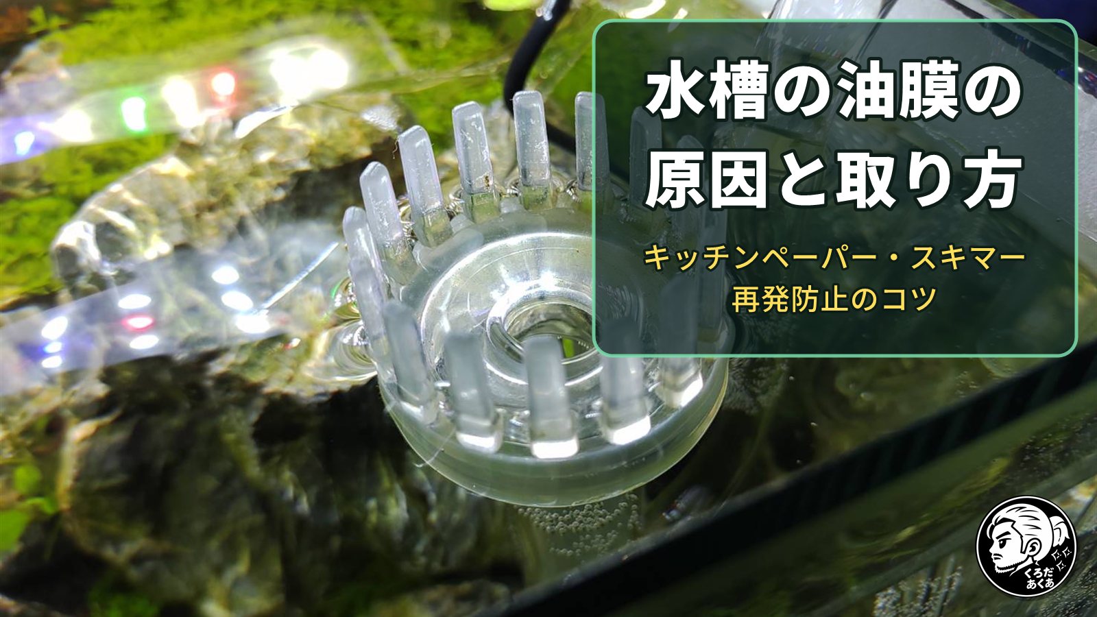 水槽の水面に付けた油膜取りのスキマーと「水槽の油膜の原因と取り方」の文字