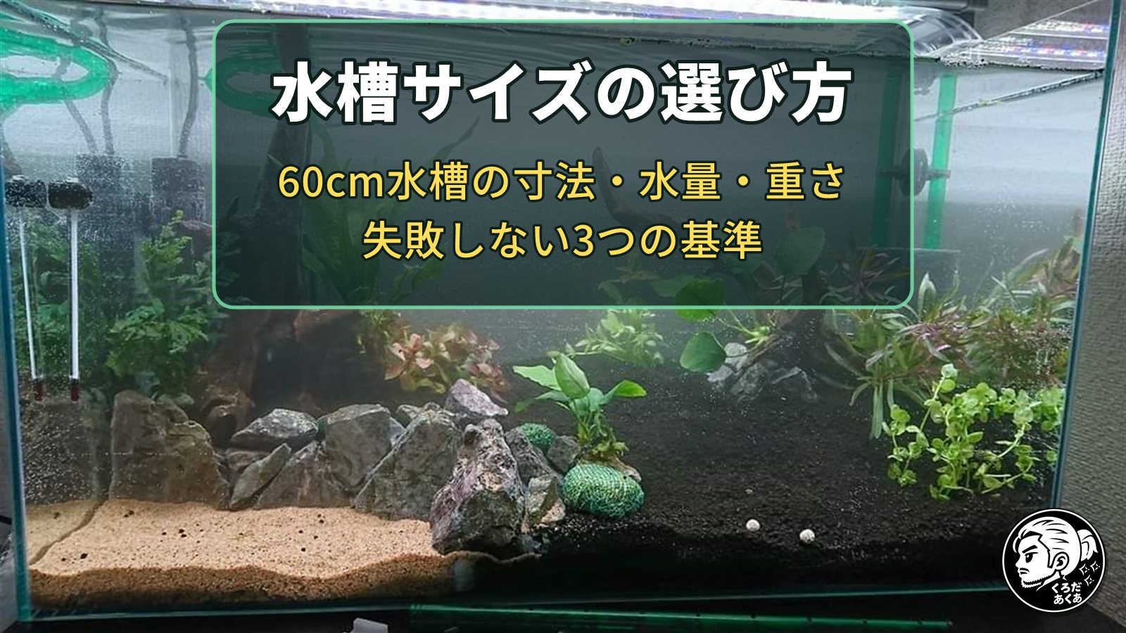 水槽サイズの選び方｜60cm水槽の寸法・水量・重さと失敗しない3つの